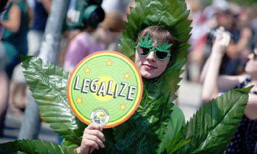 Лікарі обурюються марихуановим легалайзом: пряма мова