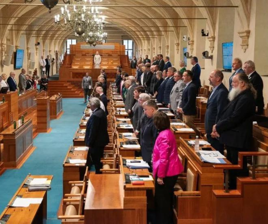 Сенат Чехії не ратифікував Стамбульську конвенцію, бо є сумніви